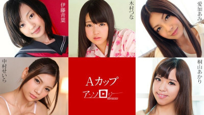 [노모] CARIBBEANCOM-030823-001 A-Cup Anthology