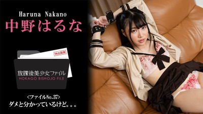 [노모] HEYZO-3044 Haruna Nakano [Haruna Nakano] After School Beautiful Girl File No.37 ~I know it's wrong but...~ - Adult Video HEYZO