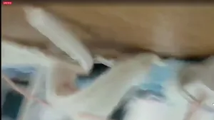 얼공 미혼모 하루 인스타 라방 올노자위 | 한국야동 고화질 스트리밍