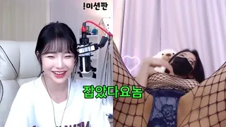 잡았다 요놈 비제이 하피 | 한국야동 고화질 스트리밍