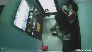 자지를 조물딱 거리는 나쁜 손모가지 | 한국야동 고화질 스트리밍